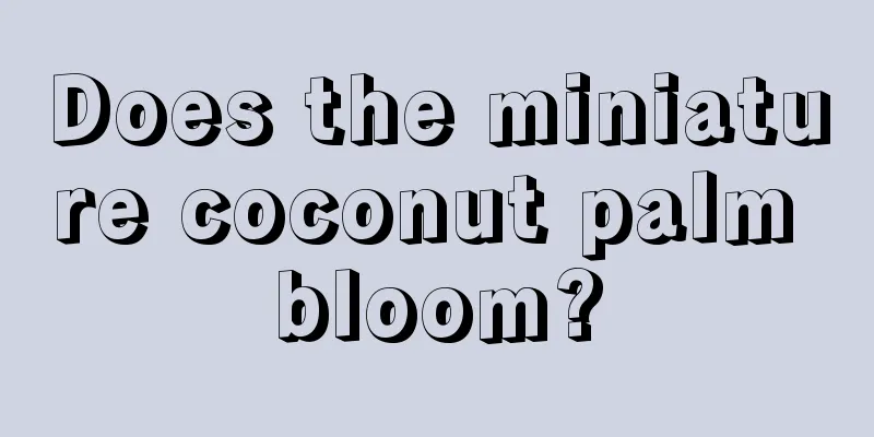 Does the miniature coconut palm bloom?