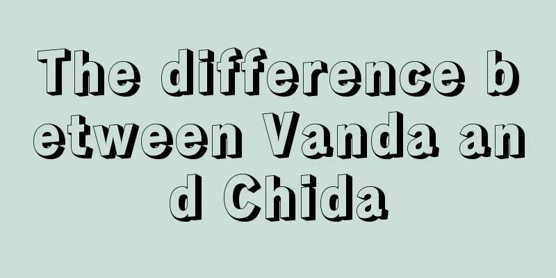 The difference between Vanda and Chida