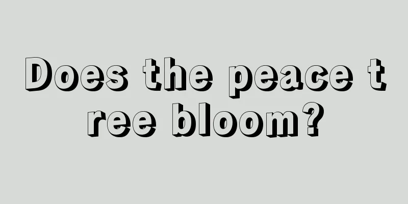 Does the peace tree bloom?