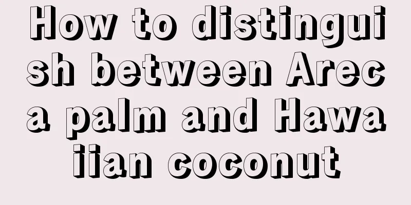 How to distinguish between Areca palm and Hawaiian coconut