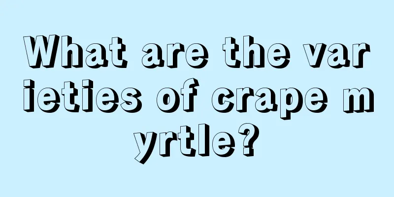 What are the varieties of crape myrtle?