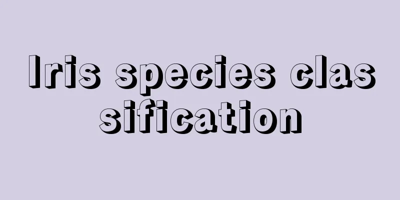 Iris species classification