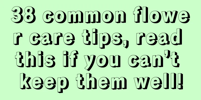 38 common flower care tips, read this if you can’t keep them well!