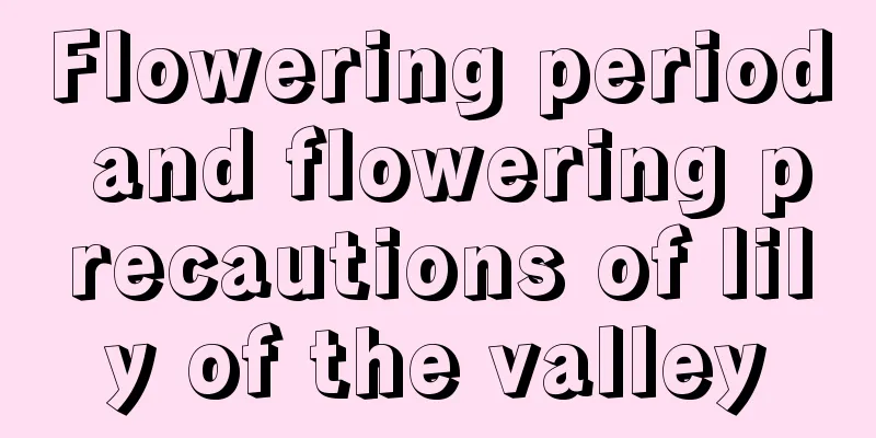 Flowering period and flowering precautions of lily of the valley