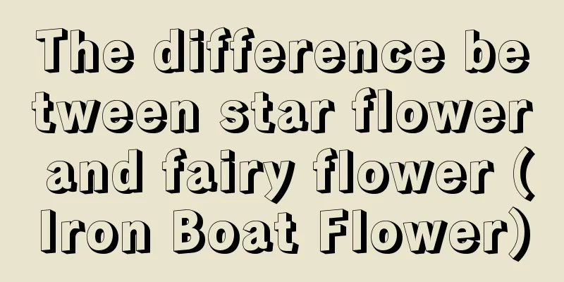 The difference between star flower and fairy flower (Iron Boat Flower)