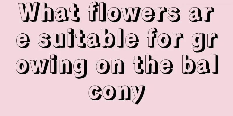 What flowers are suitable for growing on the balcony