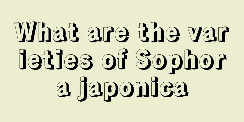 What are the varieties of Sophora japonica