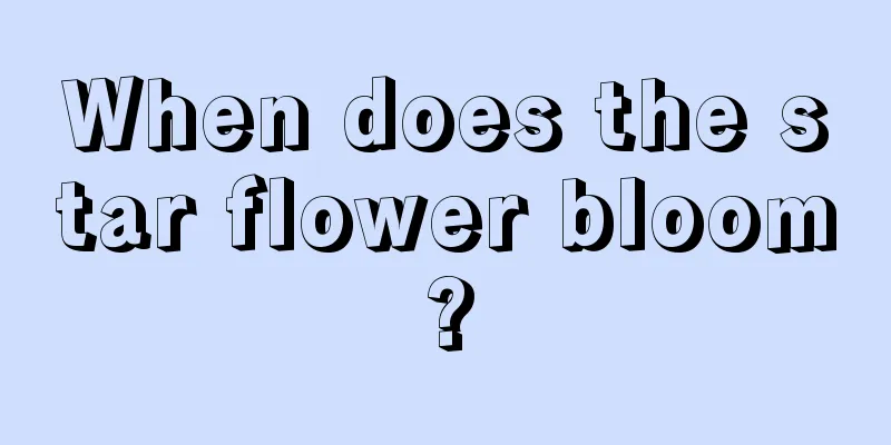 When does the star flower bloom?