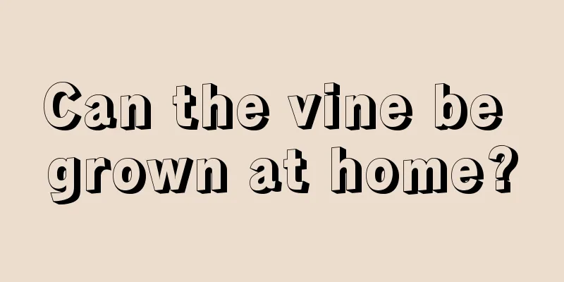 Can the vine be grown at home?