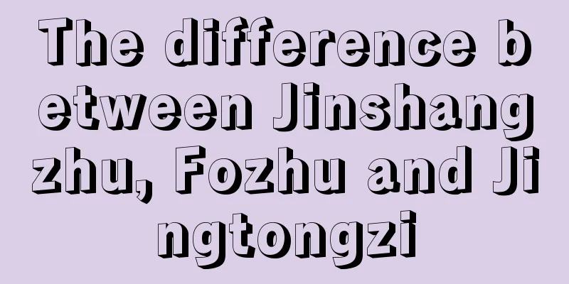 The difference between Jinshangzhu, Fozhu and Jingtongzi