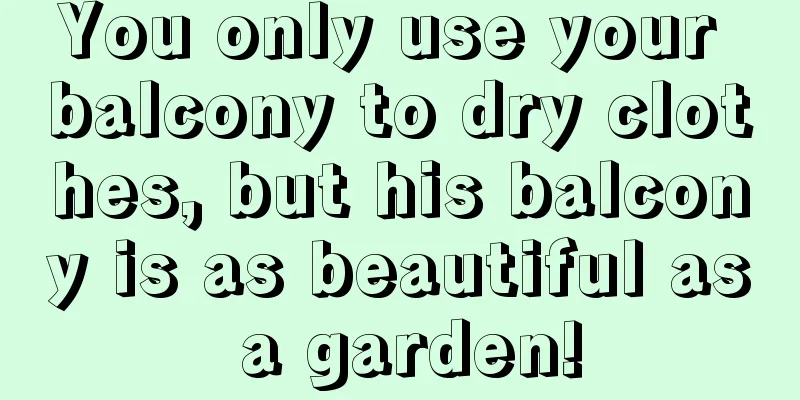 You only use your balcony to dry clothes, but his balcony is as beautiful as a garden!