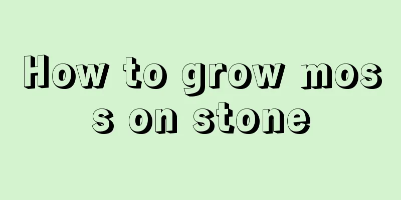 How to grow moss on stone