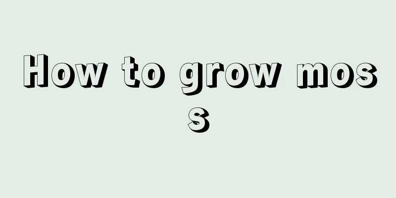 How to grow moss