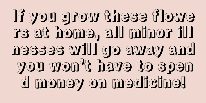 If you grow these flowers at home, all minor illnesses will go away and you won’t have to spend money on medicine!