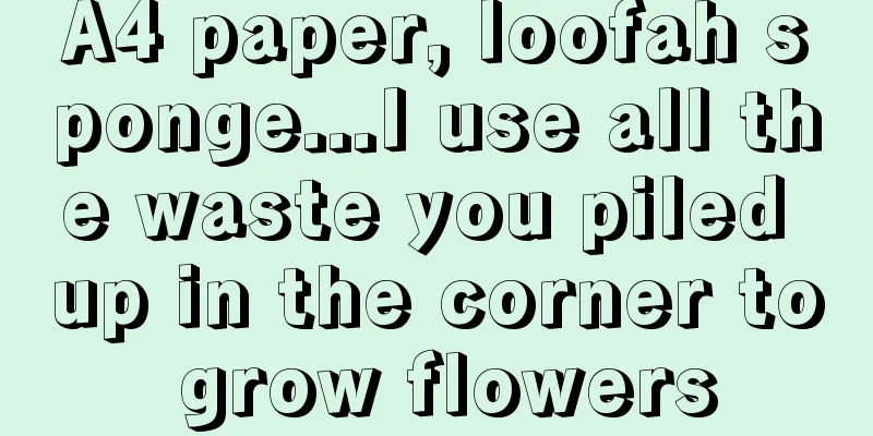 A4 paper, loofah sponge...I use all the waste you piled up in the corner to grow flowers