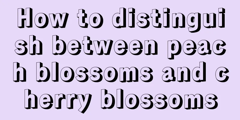 How to distinguish between peach blossoms and cherry blossoms