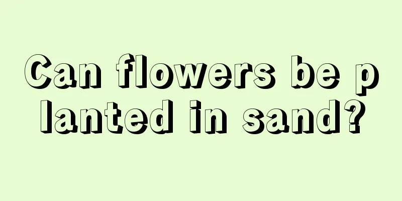 Can flowers be planted in sand?