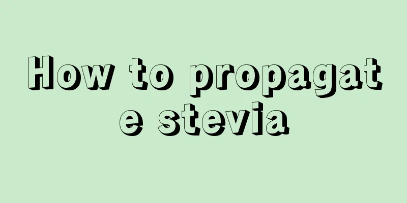 How to propagate stevia