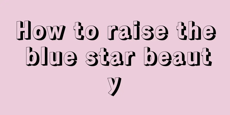 How to raise the blue star beauty