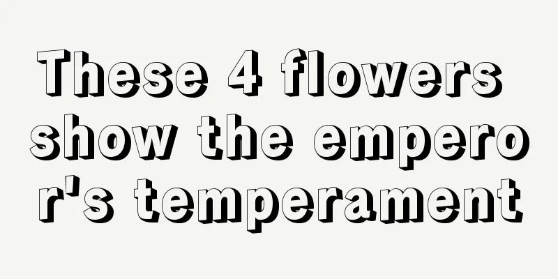 These 4 flowers show the emperor's temperament