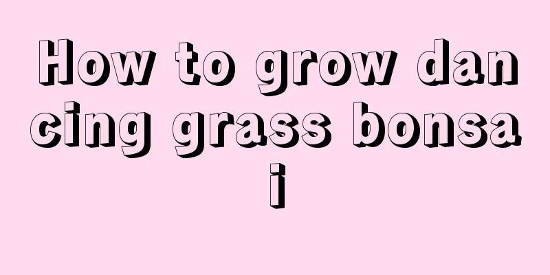 How to grow dancing grass bonsai