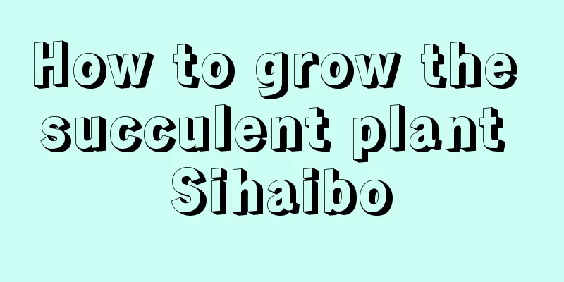 How to grow the succulent plant Sihaibo