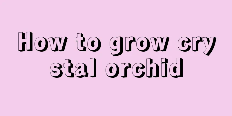 How to grow crystal orchid