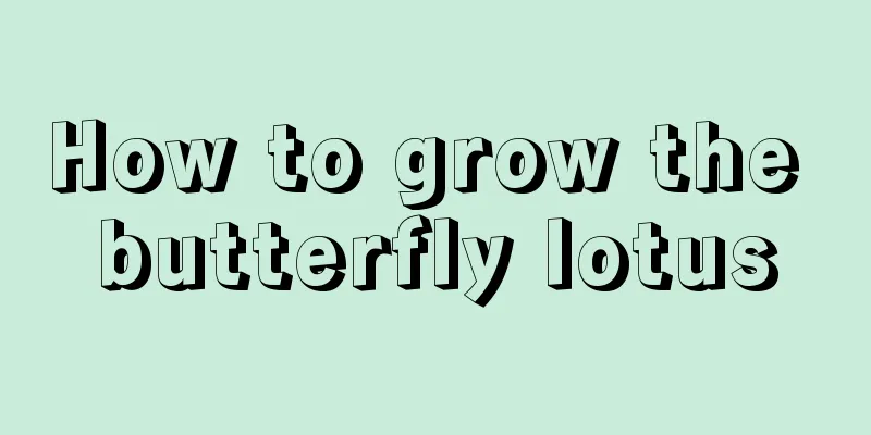 How to grow the butterfly lotus