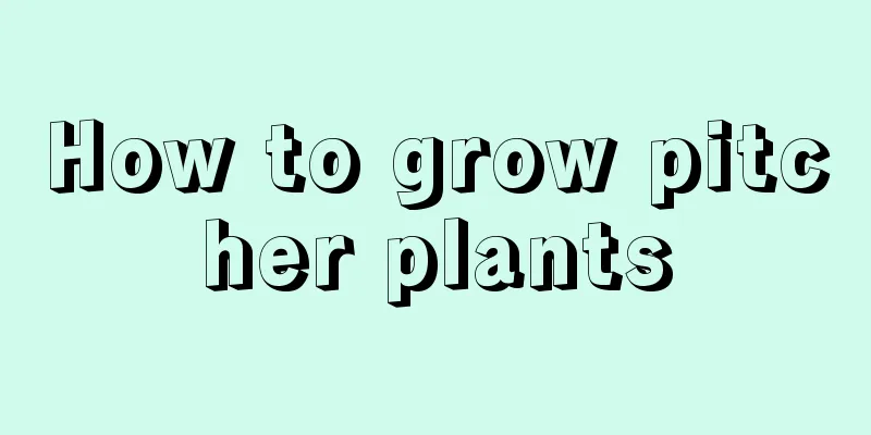 How to grow pitcher plants