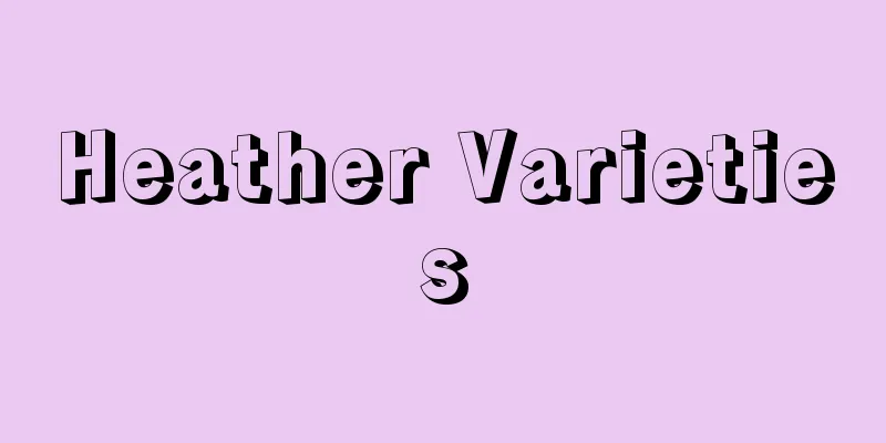 Heather Varieties