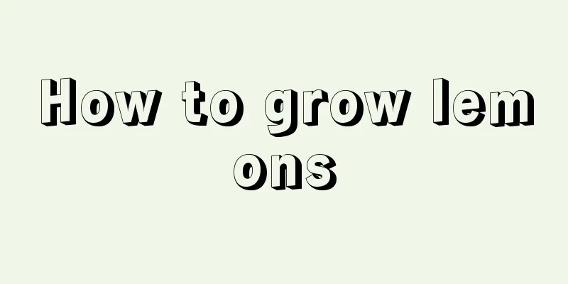 How to grow lemons