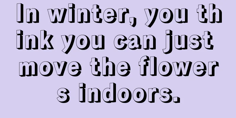 In winter, you think you can just move the flowers indoors.