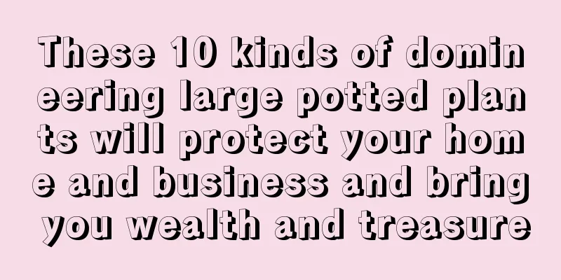 These 10 kinds of domineering large potted plants will protect your home and business and bring you wealth and treasure