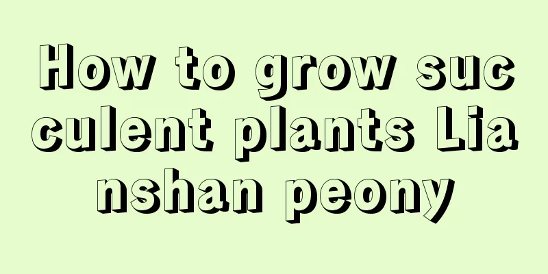 How to grow succulent plants Lianshan peony