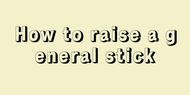 How to raise a general stick