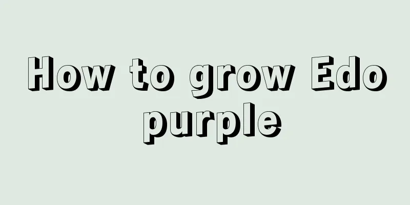 How to grow Edo purple