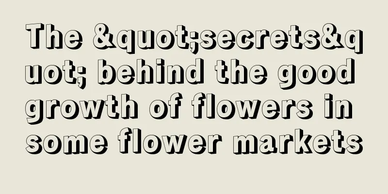 The "secrets" behind the good growth of flowers in some flower markets