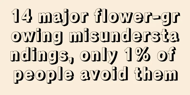 14 major flower-growing misunderstandings, only 1% of people avoid them