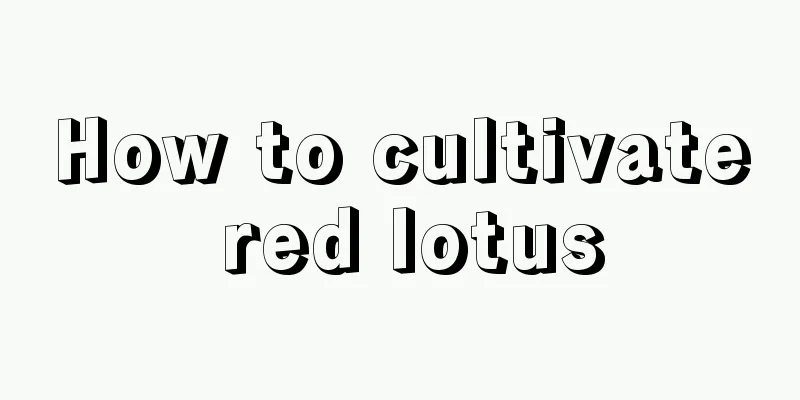 How to cultivate red lotus