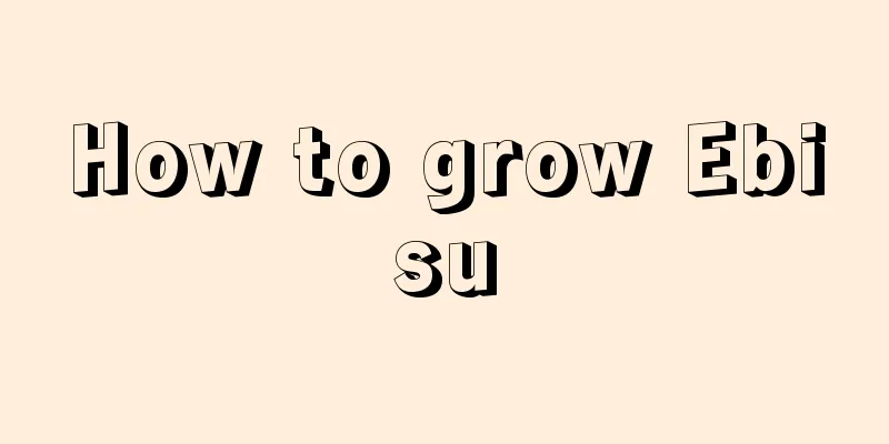 How to grow Ebisu