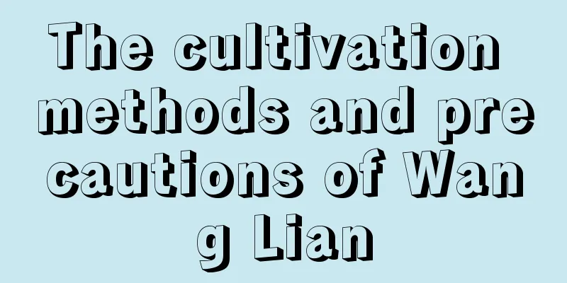 The cultivation methods and precautions of Wang Lian