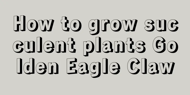 How to grow succulent plants Golden Eagle Claw