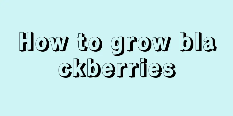 How to grow blackberries