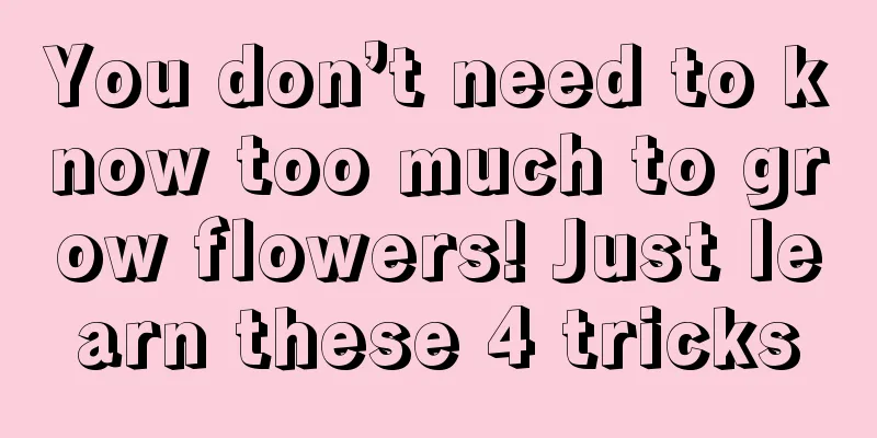 You don’t need to know too much to grow flowers! Just learn these 4 tricks