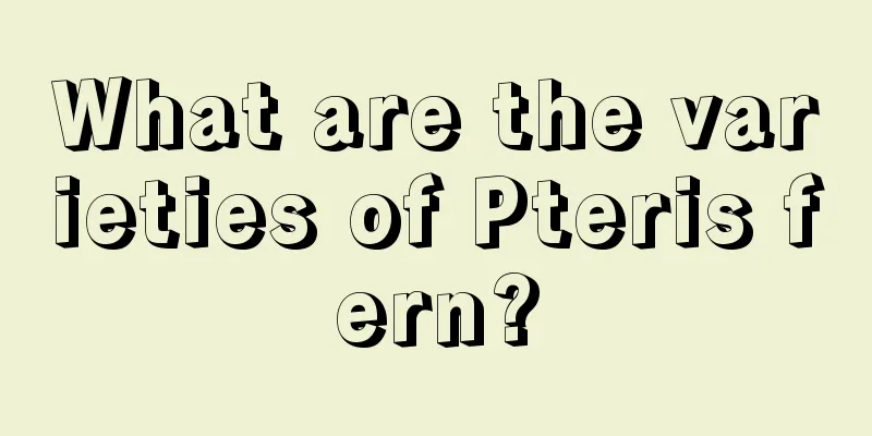 What are the varieties of Pteris fern?