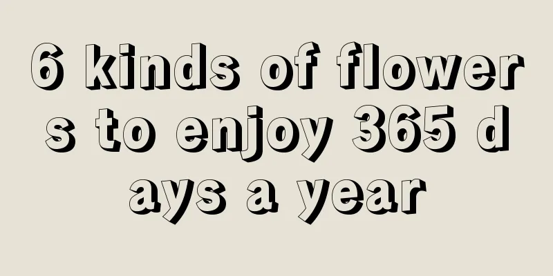 6 kinds of flowers to enjoy 365 days a year