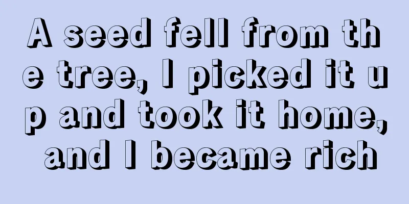 A seed fell from the tree, I picked it up and took it home, and I became rich