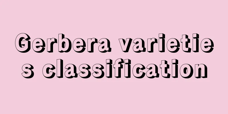 Gerbera varieties classification