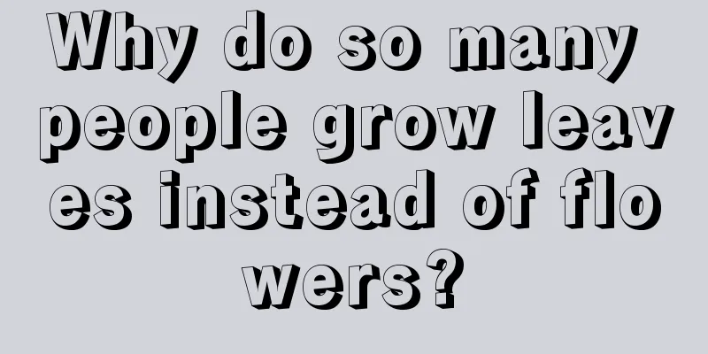 Why do so many people grow leaves instead of flowers?