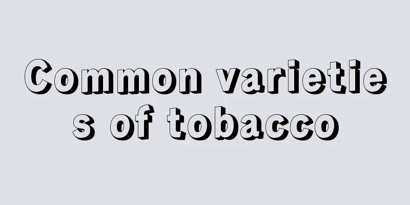 Common varieties of tobacco